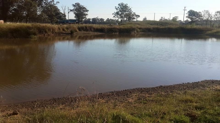 0 Bedroom Property for Sale in Gedults River Eastern Cape